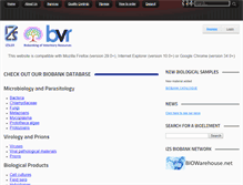 Tablet Screenshot of ibvr.org